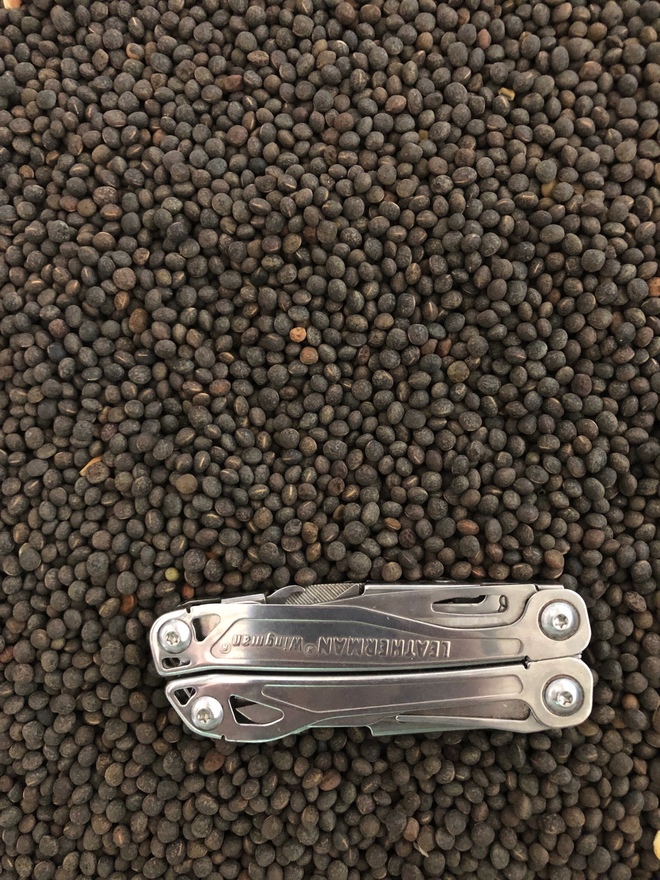 Vetch Seed ex farm | Grain & Seed - Graded Seed For Sale